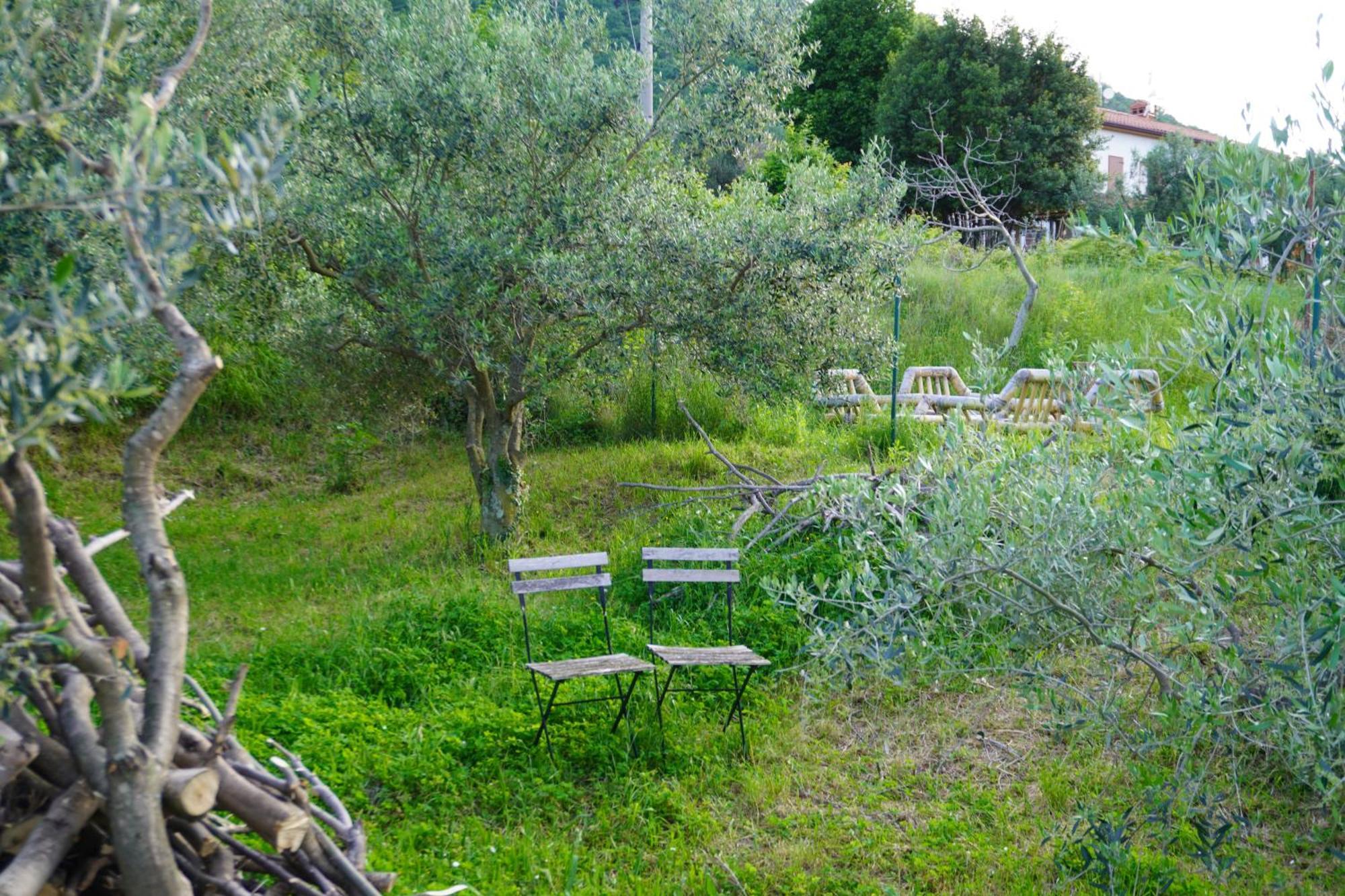 הוילה Casa Capodistria With Sea View מראה חיצוני תמונה